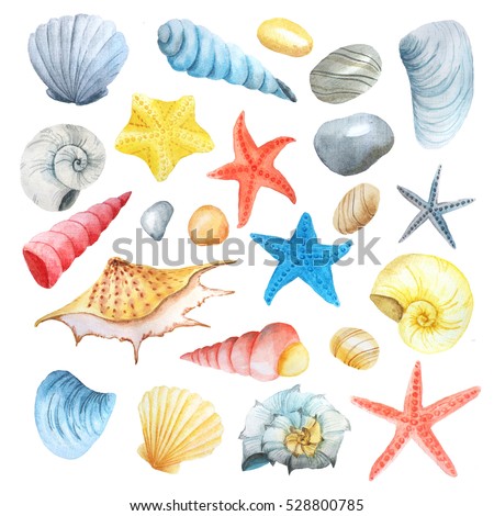 Seastar Stock Images, Royalty-Free Images & Vectors | Shutterstock