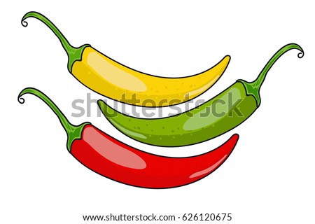 Chile pepper. green, yellow and red. vector illustration.