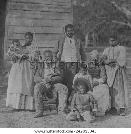 slavery and african born slaves slavery and african born slaves