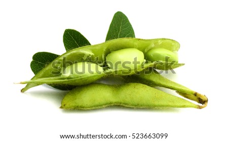 Edamame nibbles, boiled green soy beans, japanese food