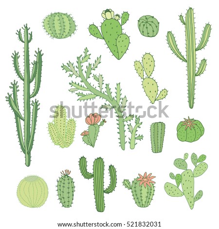 Cactus Stock Vectors, Images & Vector Art | Shutterstock