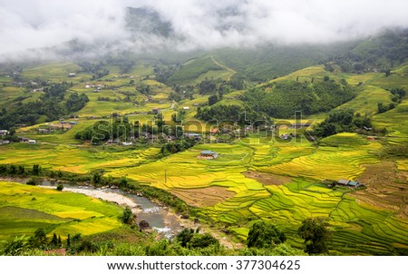 Rice fields on terraced in rainny season at SAPA, Lao Cai, Vietnam. Rice fields prepare for transplant at Northwest Vietnam Image ID:292113419