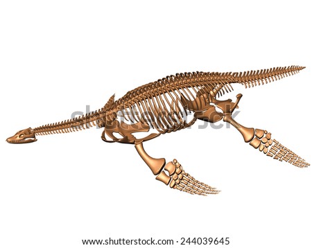 plesiosaur skeleton - stock photo