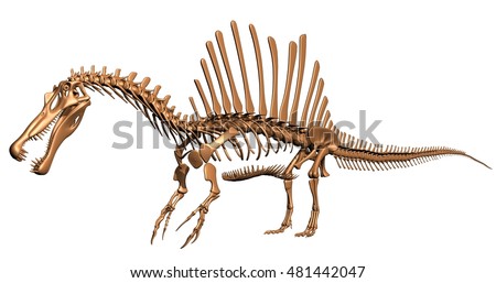 spinosaurus skeleton on display