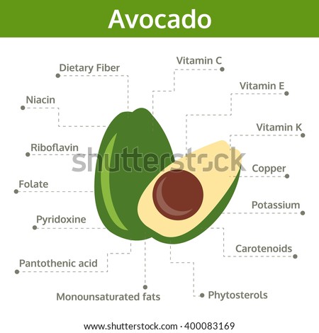 Typical Cell Labeled Stock Illustration 112395266 - Shutterstock