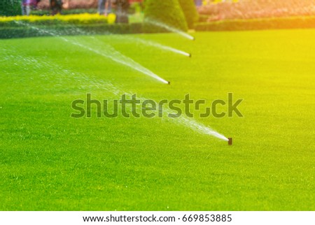 Lawn sprinkler spaying water over green grass. Irrigation system
