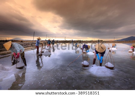 Ninh Thuan Province, Vietnam - February 28, 2016 :the women are working on salt field at dawn. Salt field Hon Khoi in Nha Trang, Viet Nam. Workers transporting salt from the fields Hon Khoi, Viet Nam.
