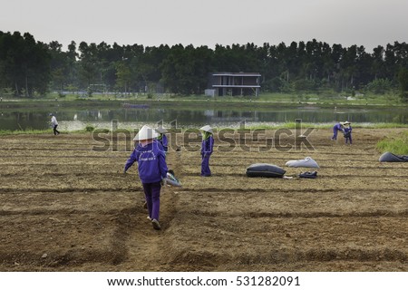 Flamingo Dai Lai, Vinh Phuc province, Vietnam - October 11, 2016 : The female workers who are working with the rudimentary tools at Flamingo Dai Lai resort of Vinh Phuc Province, Vietnam