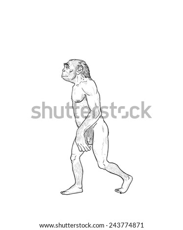 Australopithecus Stock Images, Royalty-Free Images & Vectors | Shutterstock