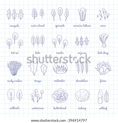 graph paper outline barca fontanacountryinn com graph paper outline