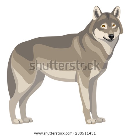 Wolf Running Stock Vectors & Vector Clip Art | Shutterstock