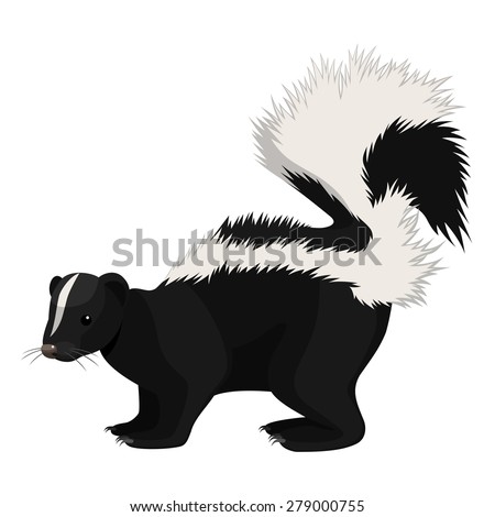 Skunk Stock Photos, Royalty-Free Images & Vectors - Shutterstock