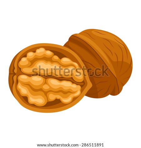 Walnuts Stock Images, Royalty-Free Images & Vectors | Shutterstock