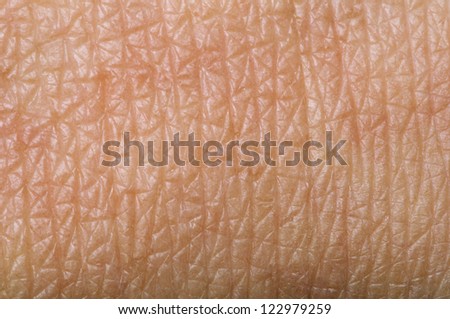 up texture of human skin with pores stock photo royalty free image 133633105 alamy skin pores stock images royalty free images vectors up texture of human skin with pores stock photo royalty free image 133633105 alamy skin pores stock images royalty free images vectors