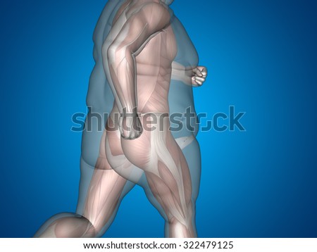 Does hcg drops work to lose weight image 4