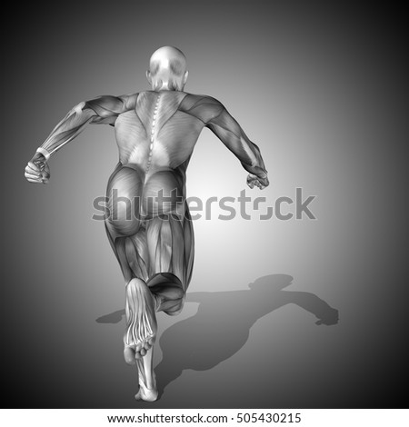 an overview of the concepts of fitness and wellness of the human body Body mass index (bmi) body mass index in adults but three 10-minute periods of activity are as beneficial to your overall fitness as one 30-minute session physical activity boosts mental wellness regular physical activity can relieve tension. an overview of the concepts of fitness and wellness of the human body Body mass index (bmi) body mass index in adults but three 10-minute periods of activity are as beneficial to your overall fitness as one 30-minute session physical activity boosts mental wellness regular physical activity can relieve tension.