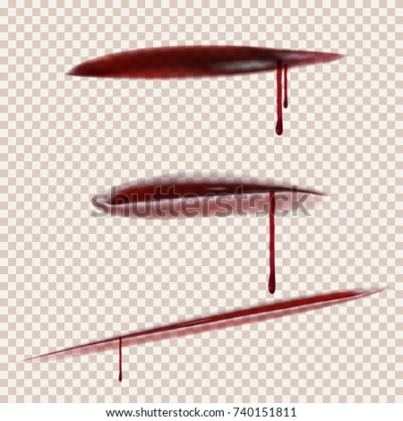 Realistic Set Cuts Using Transparency Effect Stock Vector 740151811 ... Realistic Set Cuts Using Transparency Effect Stock Vector 740151811 ...