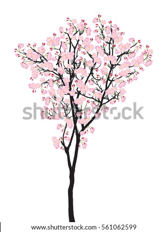 One full bloom pink sakura tree (Cherry blossom) isolated on white.
Pastel flower on black plant bark vector.
Spring flora garden icon.