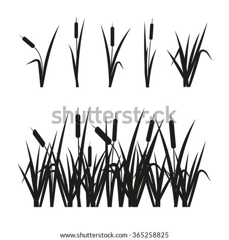 Cattail Stock Images, Royalty-Free Images & Vectors | Shutterstock
