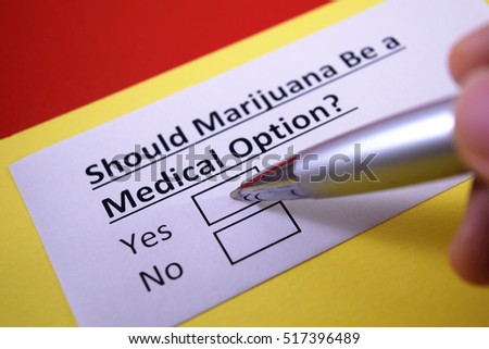 Cannabis stock options