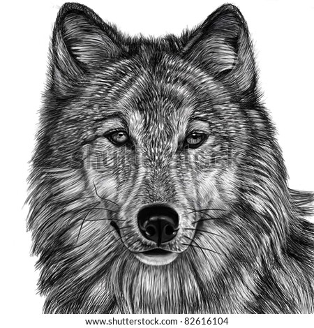 Wolf Eyes Stock Photos, Images, & Pictures | Shutterstock