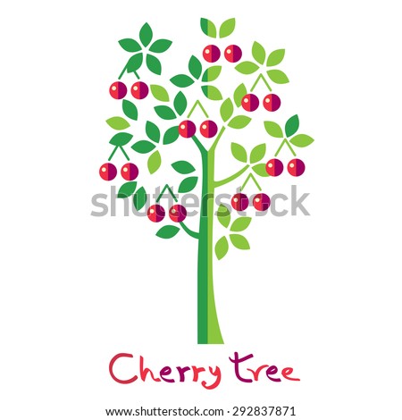 cherry tree vector sweet cherry tree stock images royalty free images vectors cherry tree vector sweet cherry tree stock images royalty free images vectors