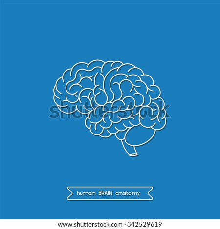 an analysis of leinigens views on the human brain The creation of god a human brain dissimulated in the figure of god view author profile more posts how to fall asleep. an analysis of leinigens views on the human brain The creation of god a human brain dissimulated in the figure of god view author profile more posts how to fall asleep.