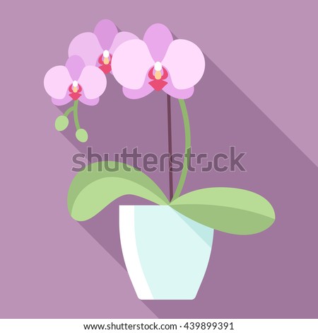Vector illustration of orchid flower in flowerpot with long shadow. Modern pastel colors. Flat style.