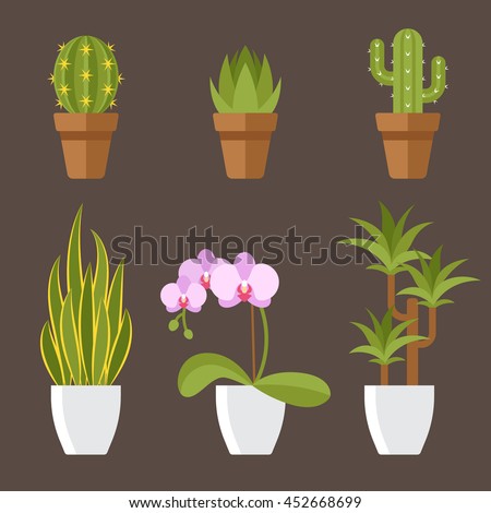 Vector set of home plants in pots for interior decoration. Cactuses, aloe, snake plant, orchid flower, dracaena. Flat style.