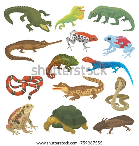 Reptile Stock Images, Royalty-Free Images & Vectors | Shutterstock