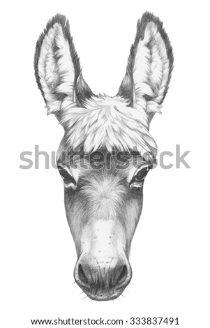 Donkey Stock Photos, Royalty-Free Images & Vectors - Shutterstock
