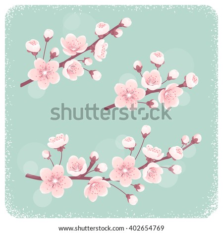 Cherry blossom, spring branches set. Retro vector illustration. Design elements for invitation, banner, card, poster, flyer