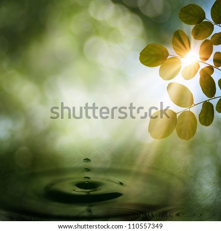 Summer morning in the forest. natural backgrounds