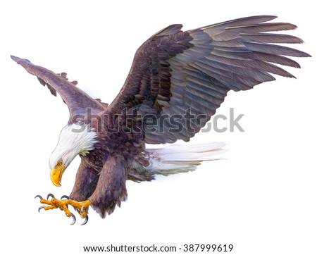 Eagle Attack Stock Images, Royalty-Free Images & Vectors | Shutterstock