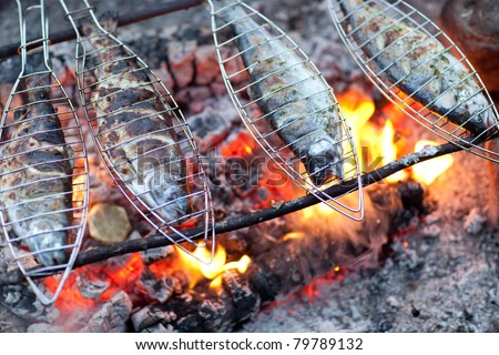 Grilling fish on campfire - stock photo