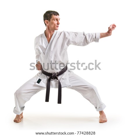 Punchfigure Karate Fighting Stance On White Stock Photo 77428828 ...