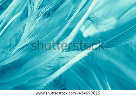 Turquoise Stock Images, Royalty-Free Images & Vectors | Shutterstock