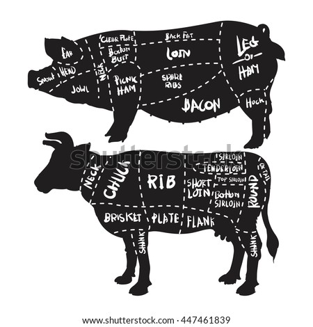 American Cuts Beef Vintage Typographic Handdrawn Stock Vector 239023258 ...