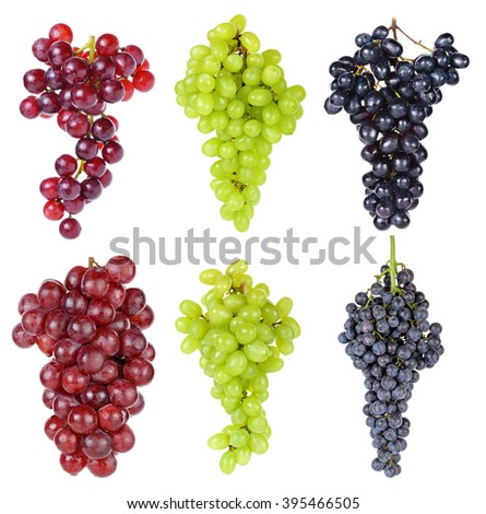 Three Branches Grapes Red Black Green Stock Illustration 360252452 ...