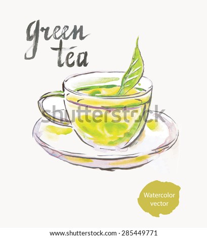 Green tea, watercolor, hand drawn, vector
