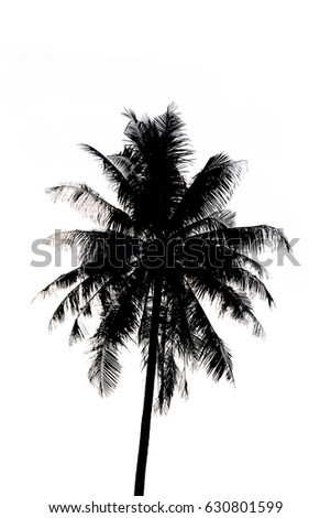 Vector Palm Trees Leaves Monochrome Contours Stock Vector 84895924 ...