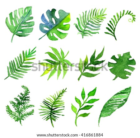 Set Watercolor Tropical Leaves Isolated On Stock Illustration 416861884 ...
