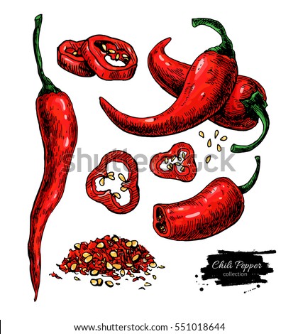 Chili Pepper Hand Drawn Vector Illustration Stock Vector 551018644