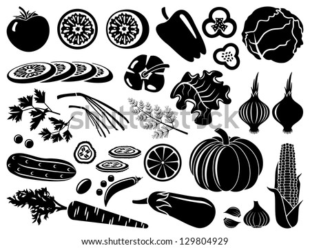Set of icons of vegetables. vector