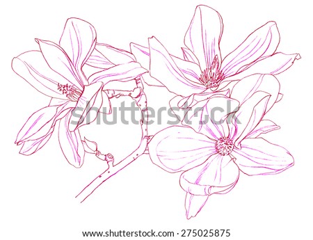 Flower Illustration Stock Illustration 494209981 - Shutterstock