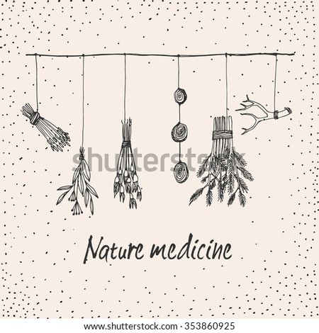 Hand drawn dry herb and plants garland illustration in vector. Natural medicine illustration.