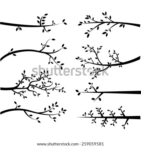 Branches Stock Images, Royalty-Free Images & Vectors | Shutterstock