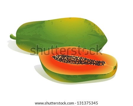 Isolated Papaya Vector