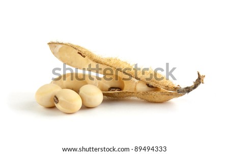 Soy pods isolated on white background