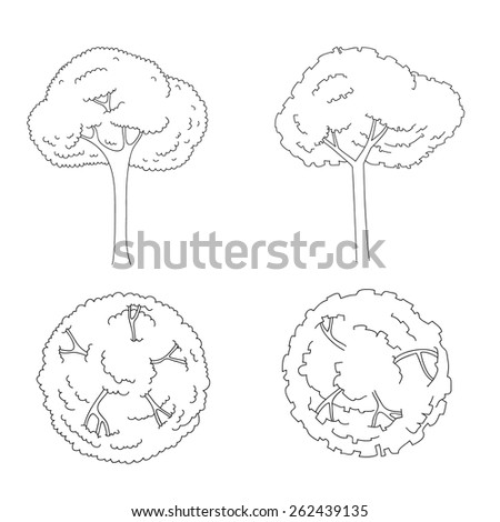 Architectural Drawing Set architectural trees stock images, royalty-free images & vectors Architectural Drawing Set architectural trees stock images, royalty-free images & vectors